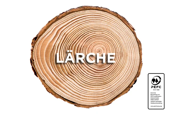 Le Mélèze - Sineu graff